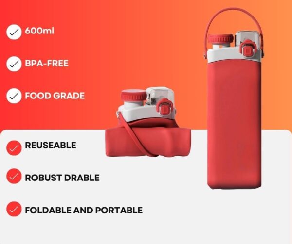 Water Bottles with 600ml(20oz),BPA Free Water Bottle, with Handle for Carrying,…