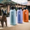 Hydro Flask Wide Flex Cap Lupine 40 Oz