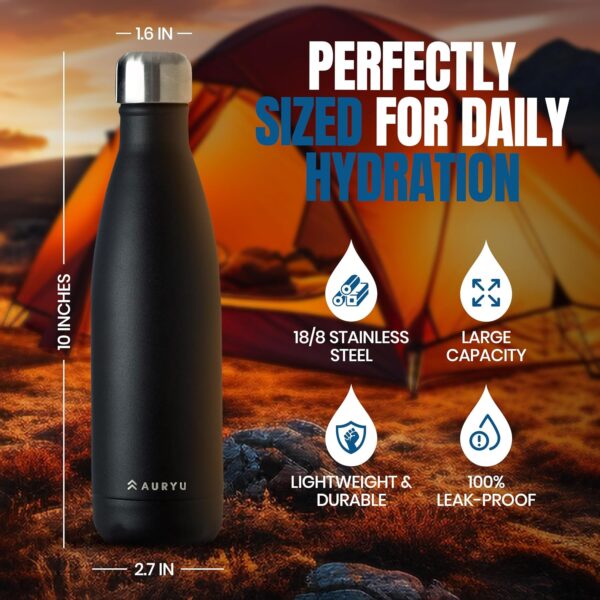 Best in Class Triple-Walled Insulated Stainless Steel Water Bottle, Keeps your Drinks…