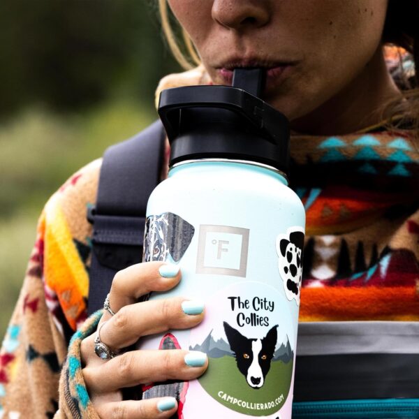 IRON FLASK Camping & Hiking Hydration Flask with 3 Lids – Stainless Steel, Double…