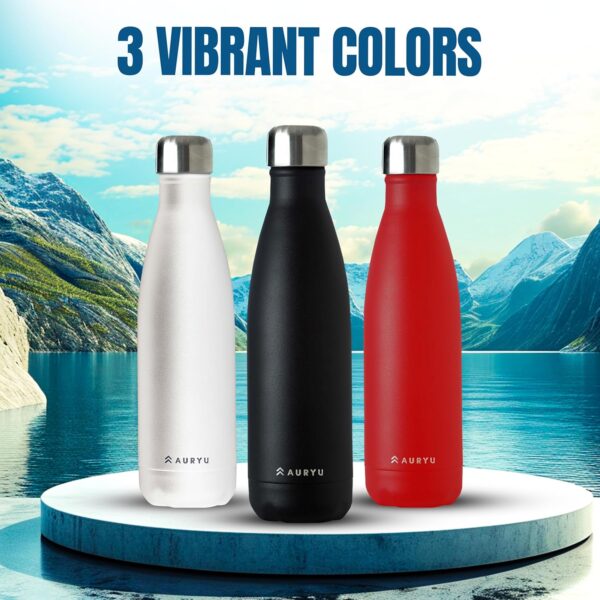 Best in Class Triple-Walled Insulated Stainless Steel Water Bottle, Keeps your Drinks…