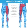 ZENKEYZ Groin Support and Hip Brace for Men & Women- Compression Wrap for Thigh Quad…