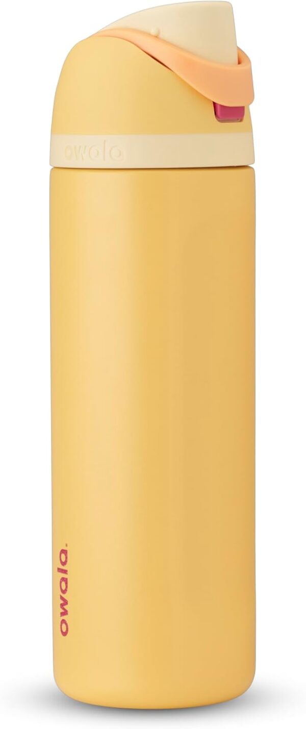 Owala Disney Princess FreeSip Insulated Stainless Steel Water Bottle with Straw for…