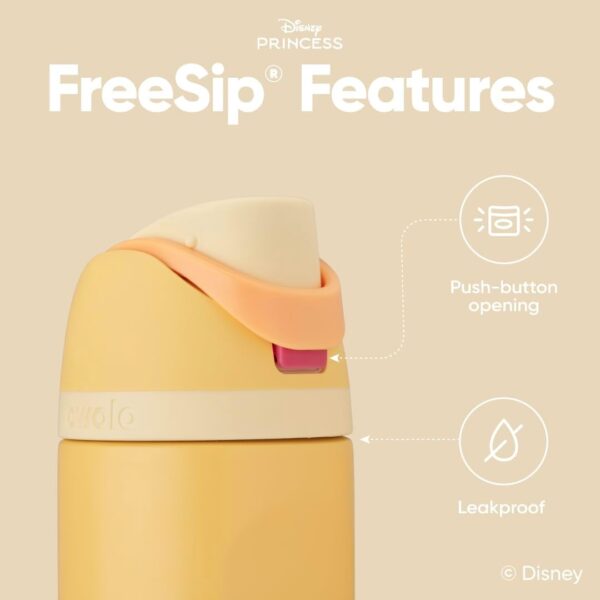 Owala Disney Princess FreeSip Insulated Stainless Steel Water Bottle with Straw for…