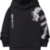 WDIRARA Boy's Dragon Letter Graphic Hoodie Long Sleeve Sweatshirt Hooded Pullovers Top