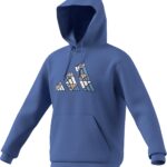 adidas Men's Big Logo Graphic Hoodie