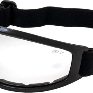 Birdz Eyewear Robin Sport Skydiving Snowboarding Motorcycle Riding Goggles