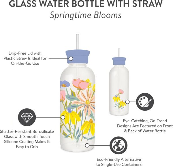 Studio Oh! New Glass Water Bottle with Straw 25oz, Reusable Cute Glass Bottle Eco…