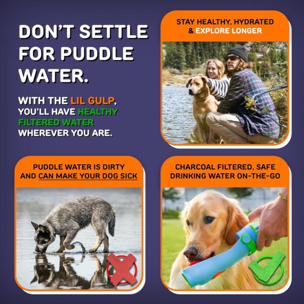 Lil Gulp Dog Water Bottle | Advanced Carbon Filtration for Safe Filtered Water on The…