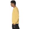 Puma Men’s Synthetic Hooded Neck Sweatshirt
