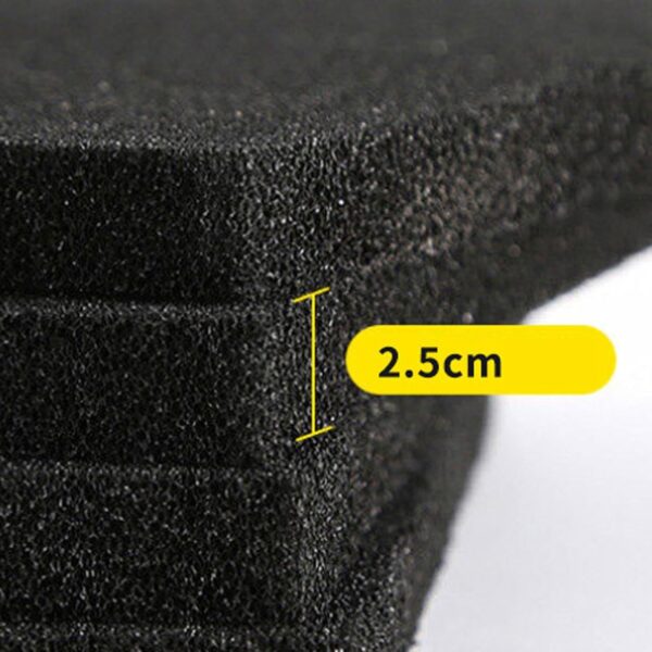 BNF Padded Shorts – Hip Protection with Enhanced Impact…